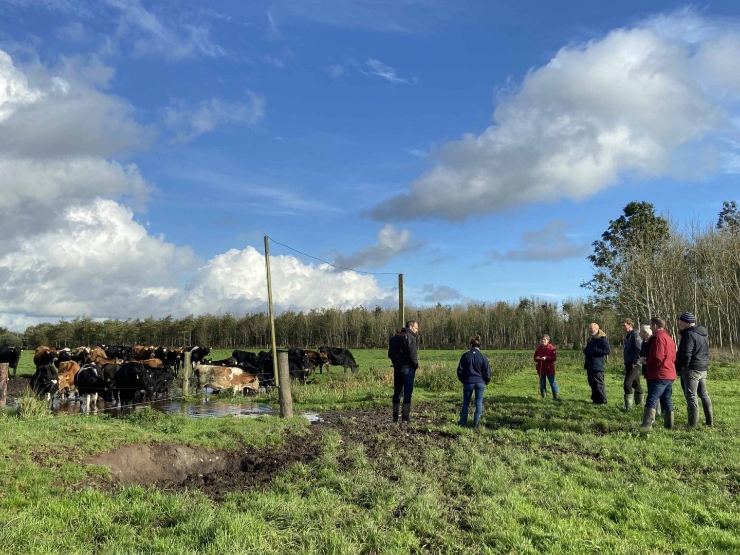 Changes to GAEC Standard 6 under BISS Scheme 