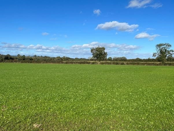 Over 100,000 Farmers to Receive Eco-Scheme Payments