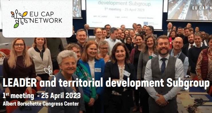 LEADER and territorial Development Subgroup report