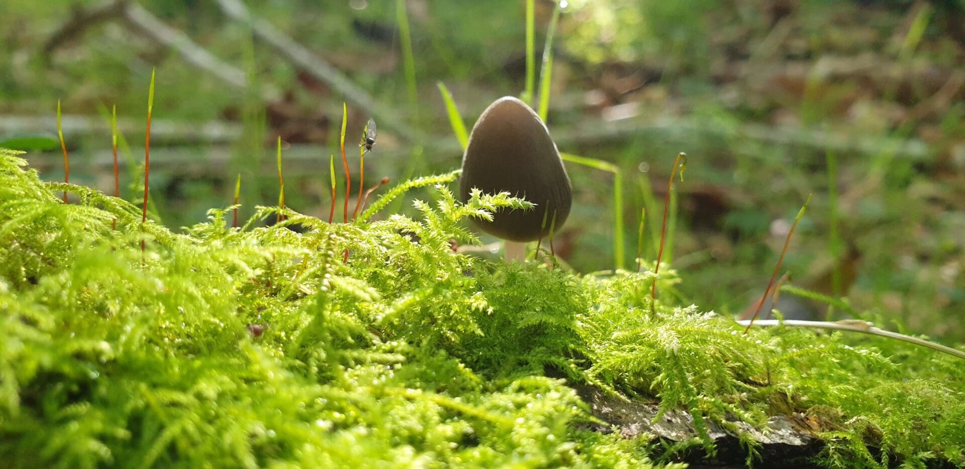 Apply Now For Accelerate Green 2024