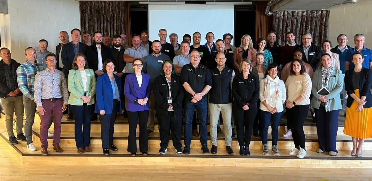 New Zealand and Irish Industry to develop partnership