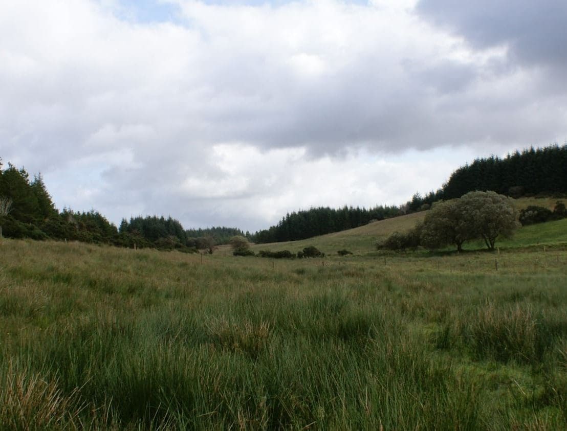 Balance of 2023 Eco-Scheme Payments Now Issued