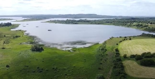 Protection of Breeding Waders set for a €25M Initiative