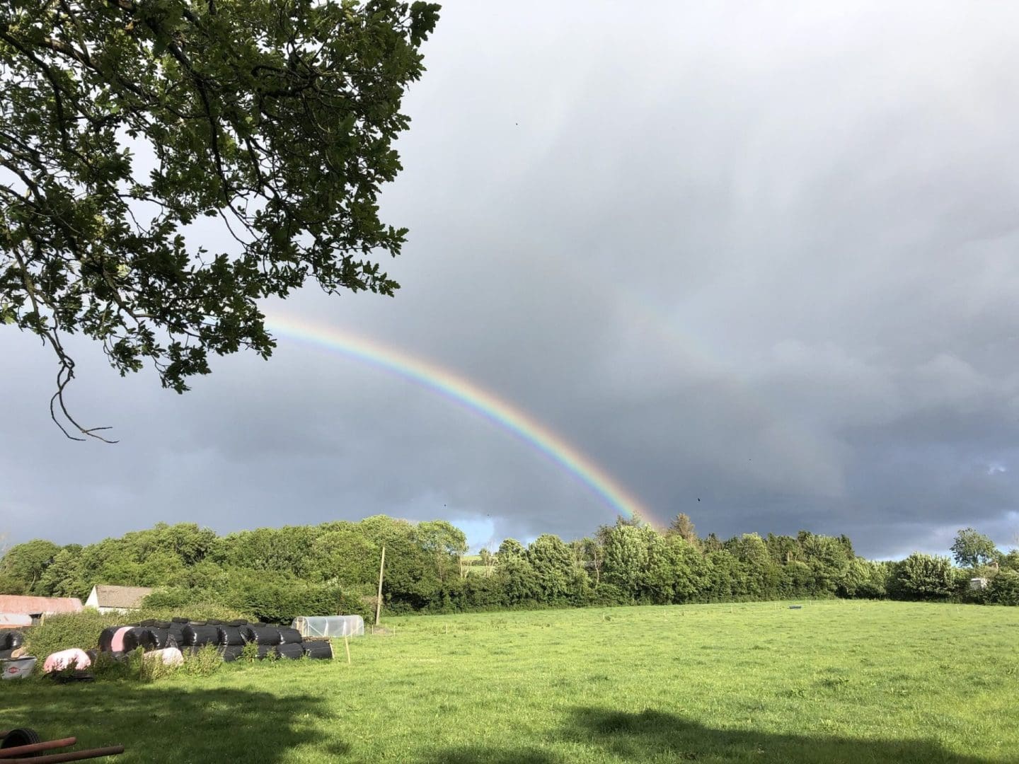 Emissions From Agriculture Trending Downwards