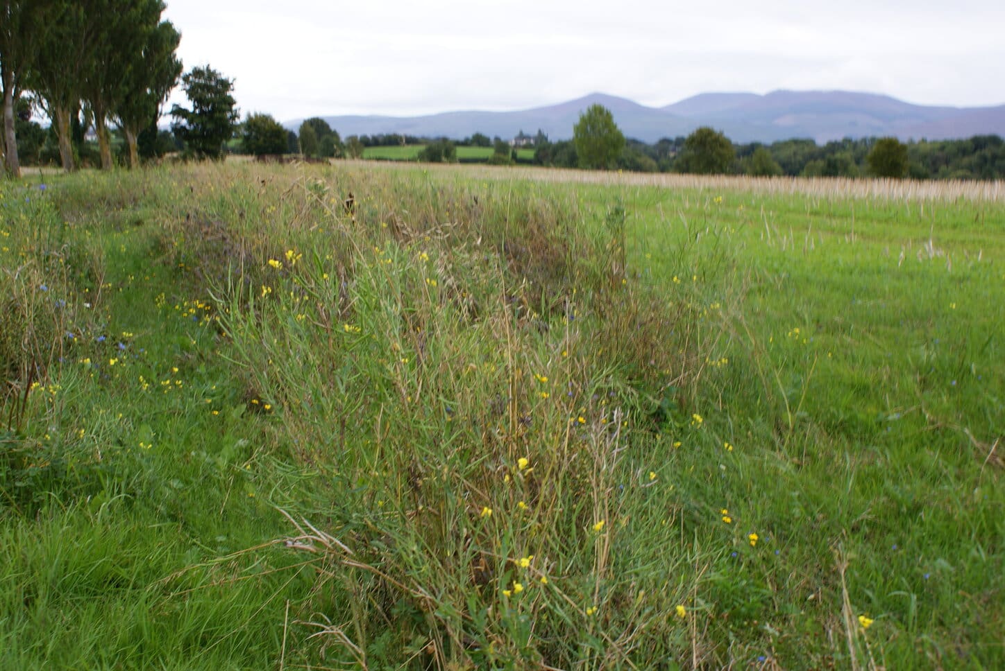 ACRES Tranche 1 Payments Begin, Tranche 2 Application Window Closes