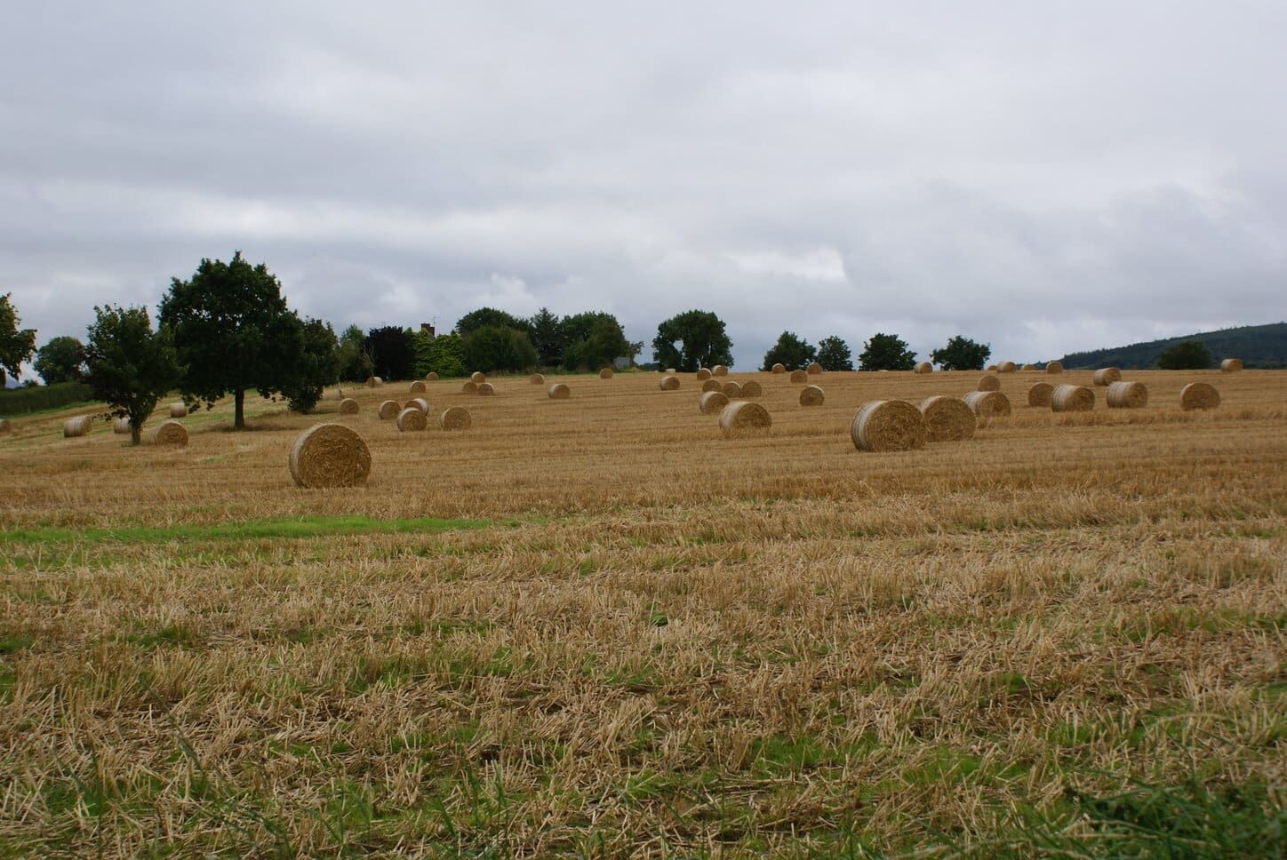 Two Payments Begin for the Tillage Sector