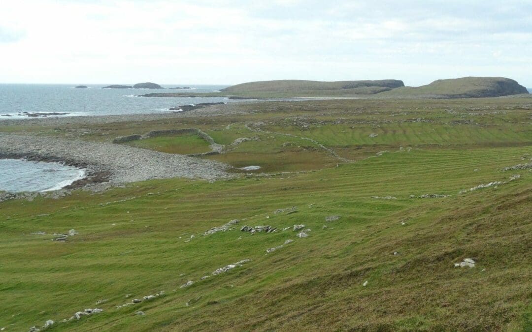 ACRES West Connacht Cooperation Summer Bursary Scholarship Scheme 2024