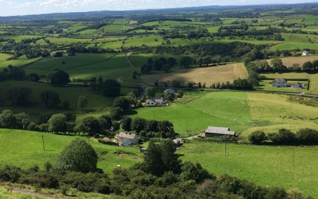 Proposals Call Issued for Agri-Food Tourism Initiatives