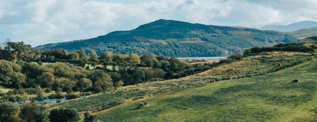 Balance of 2023 Eco-Scheme Payments Now Issued