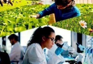 12 Local and National Organic Projects Receive €1.1 million