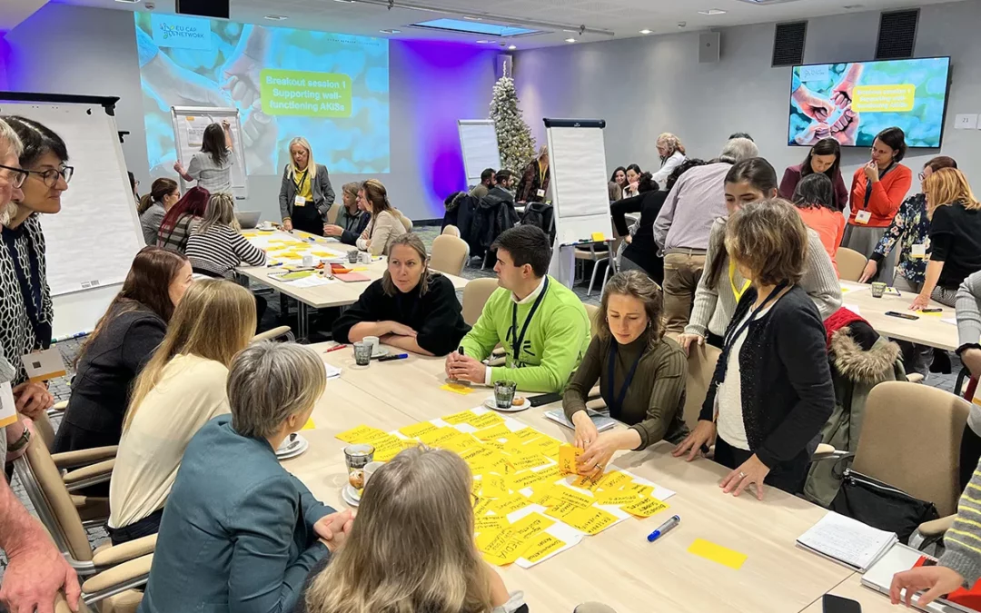 Exchange of Ideas at National (CAP) Networking for Innovation Workshop