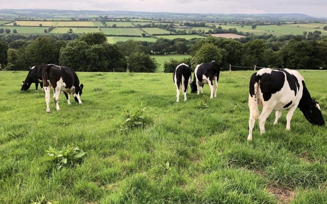 EU Farmers’ Voices Heard With New Online Survey