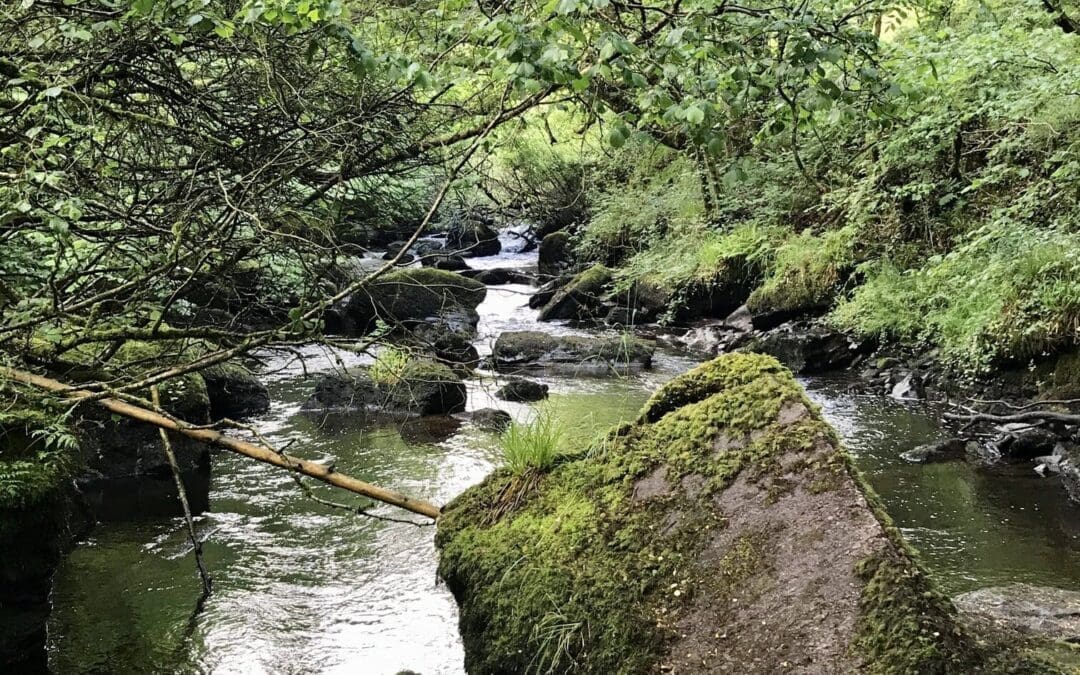 New €50 million Water EIP Funding for Landowners