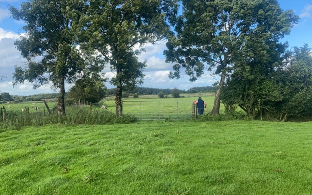 Apply for the EU Organic Awards