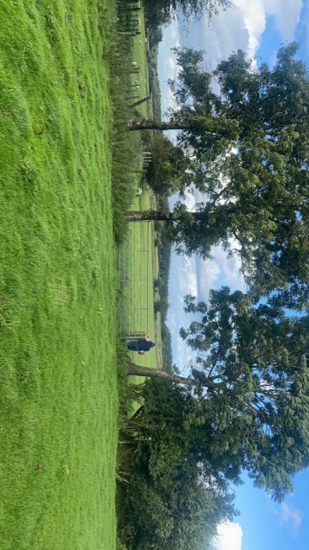 BISS opening of applications 2024 Basic Income Support for Sustainability Scheme EU Organic Awards