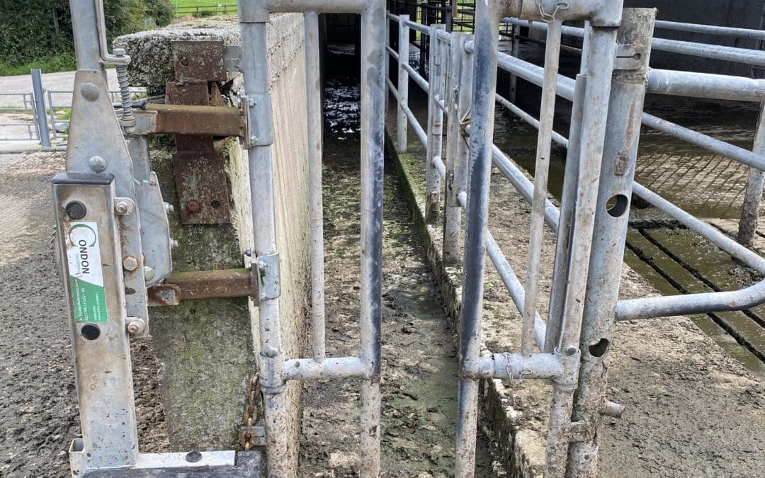 TAMS 3 Priority Approval Mechanism Opens for Tranche 2 Applicants