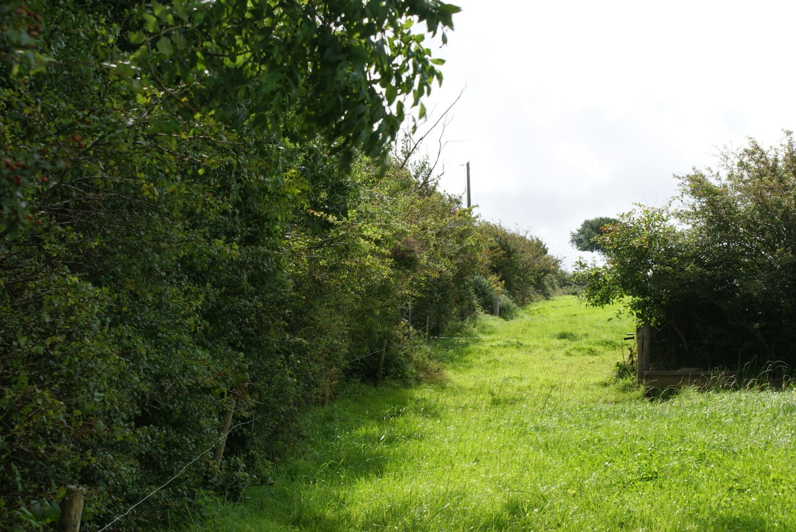 ACRES Tranche 1 Participants