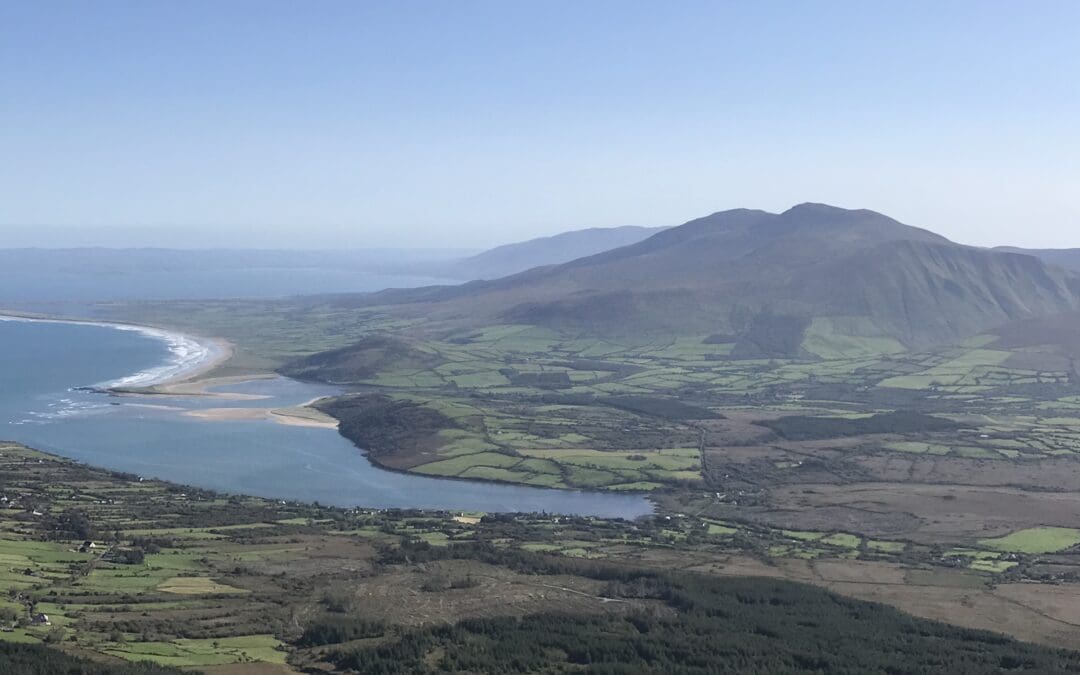 Nature Restoration Law Approved by EU Parliament