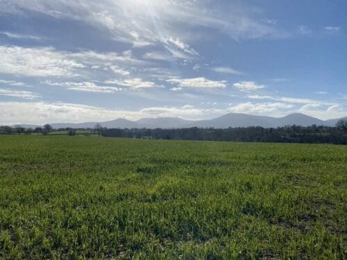 Sowing the Seeds of Sustainability: A Look at Ireland’s Organic Strategy 2024–2030