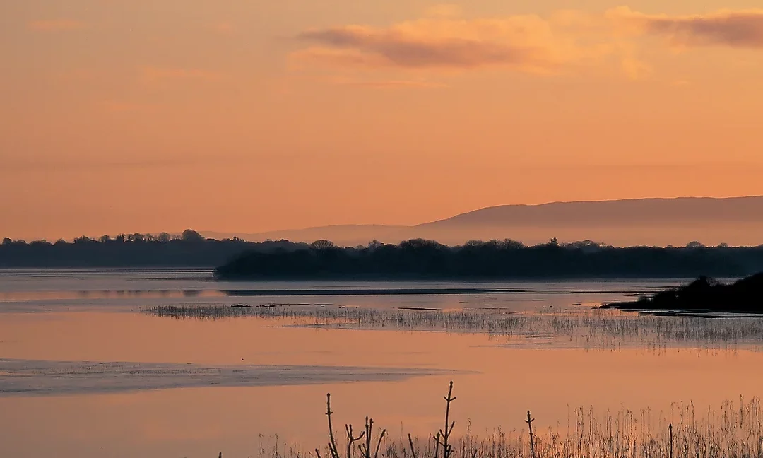 The Lough Carra LIFE Project Reports on Progress