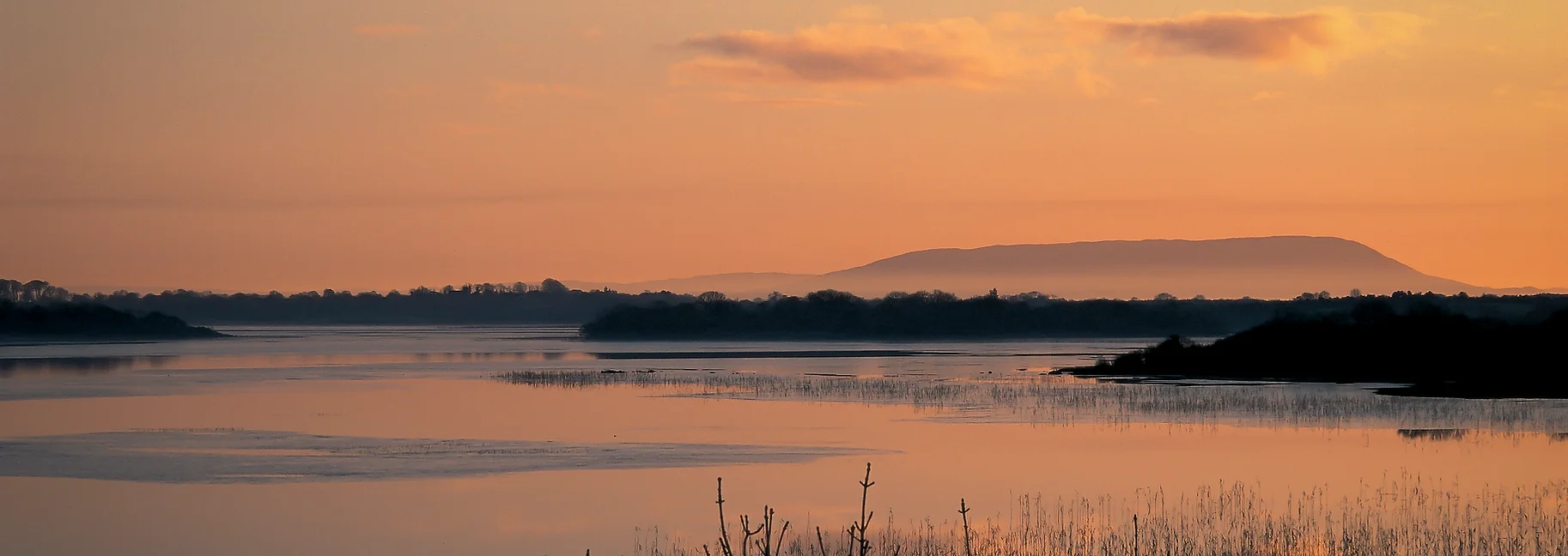 03611e_84f51bc88fe0452eaad9969b94b75d03~mv2 Lough Carra LIFE Project