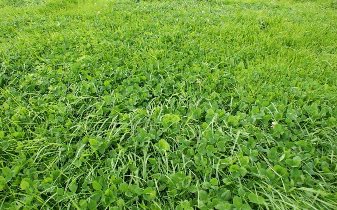 In-Person Farmer Clinics For BISS And Other Schemes to be Held Nationwide