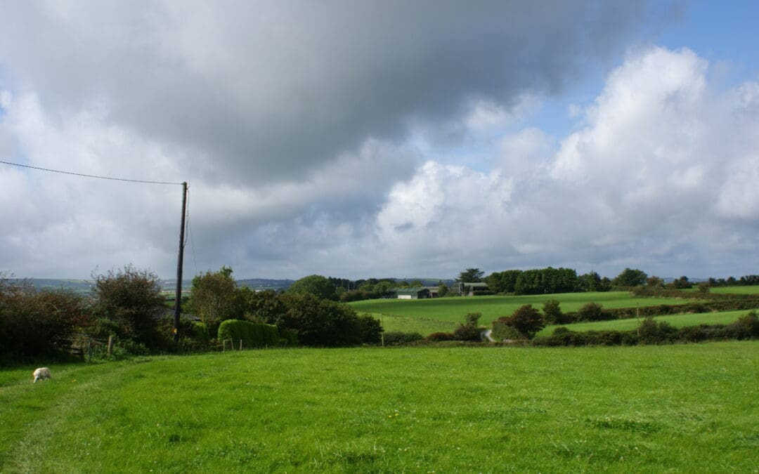 Proposals to Simplify CAP Adopted by EU Agricultural Ministers