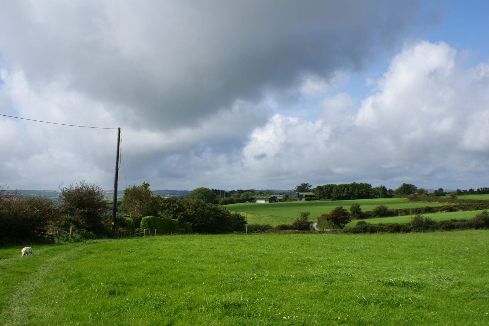 Proposals to Simplify CAP Adopted by EU Agricultural Ministers