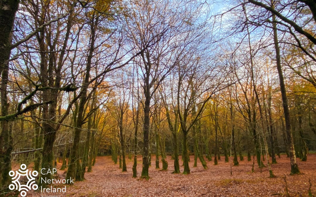 Important Dates for July and August 2025