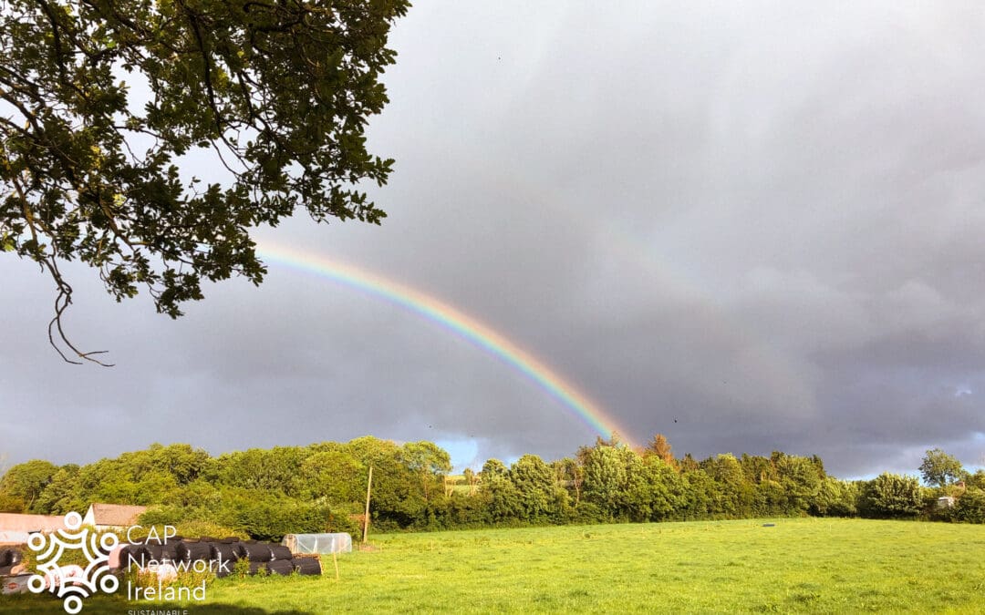 Agricultural Knowledge and Innovation Systems (AKIS) in Practice