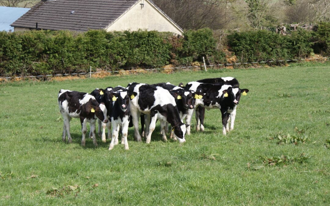 Ireland Commits €2M to Innovative European Research Partnership