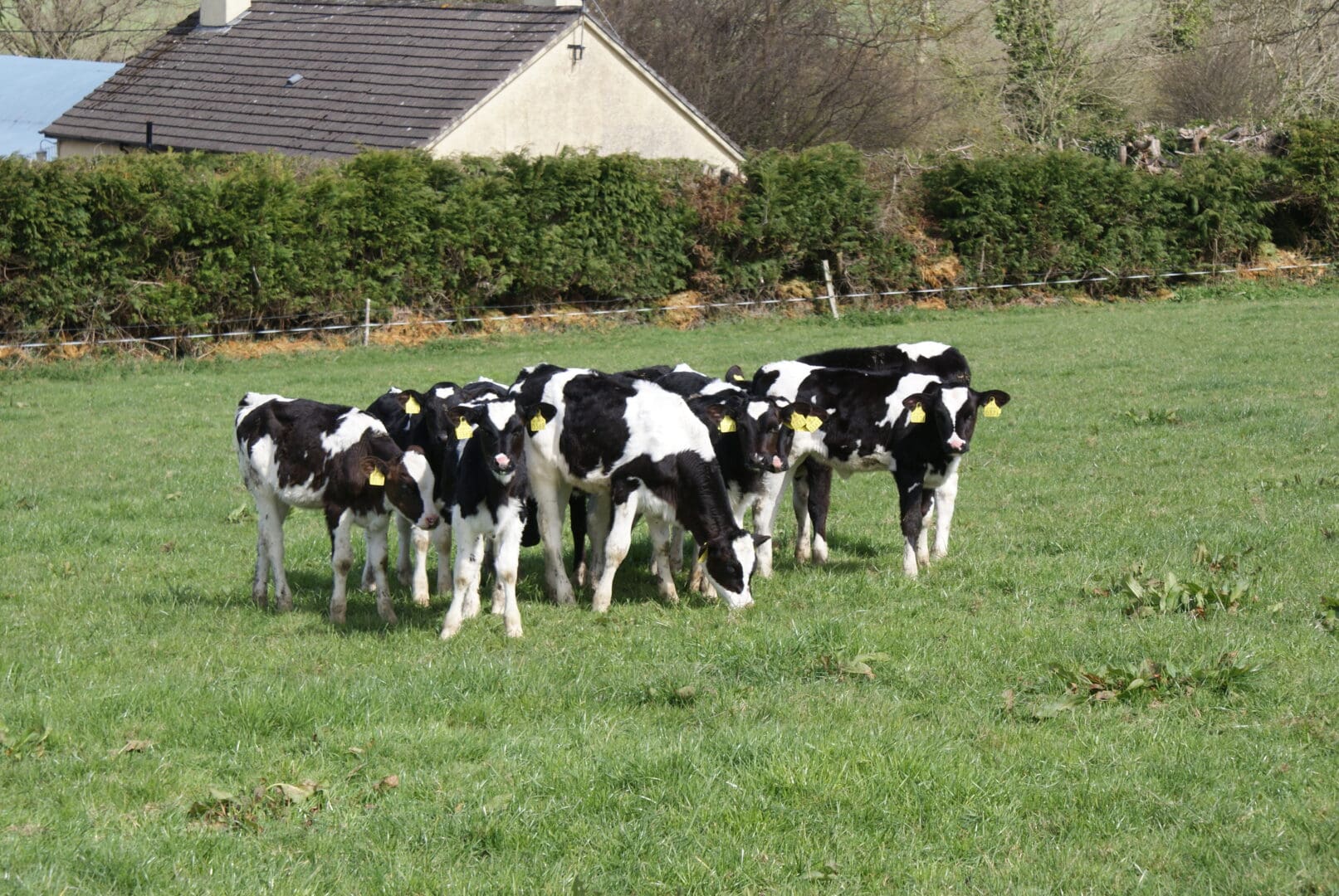 European Research Partnership