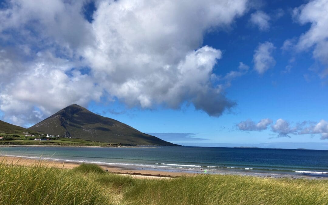 LIFE On Machair Reports on Progress