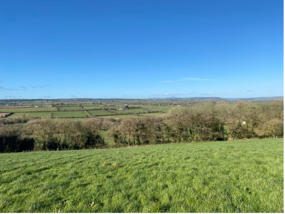 ACRES Extended For Planting Hedgerows And Trees Until March 2025 Approvals to farmers participating in Tranche 2 of the ACRES has begun