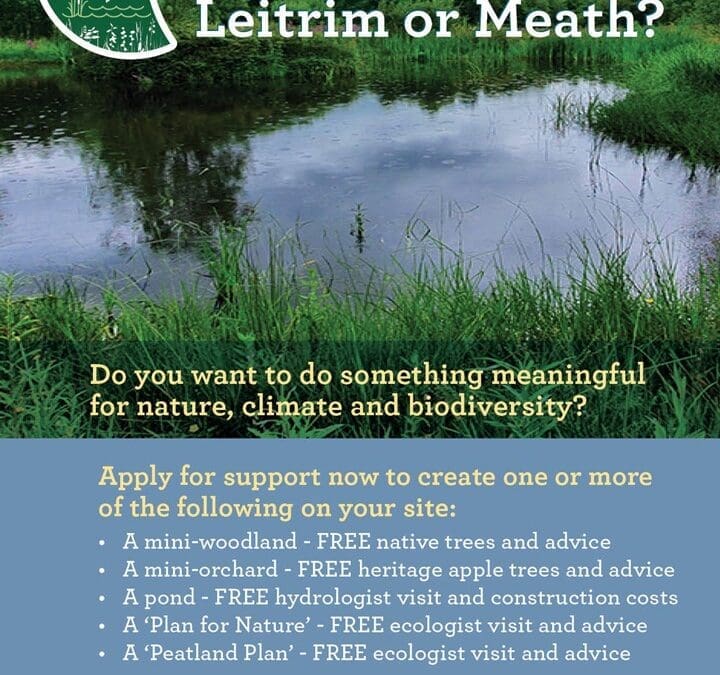 An Opportunity to have your very own Hare’s Corner