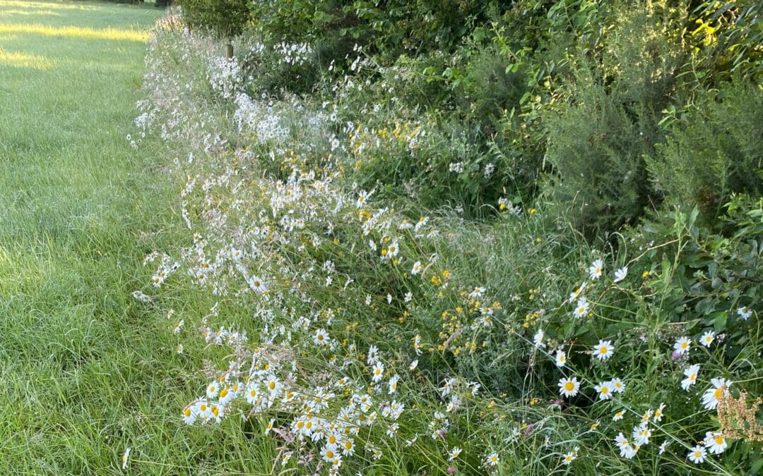 All 9000 ACRES Applicants to be Accepted into Tranche 2