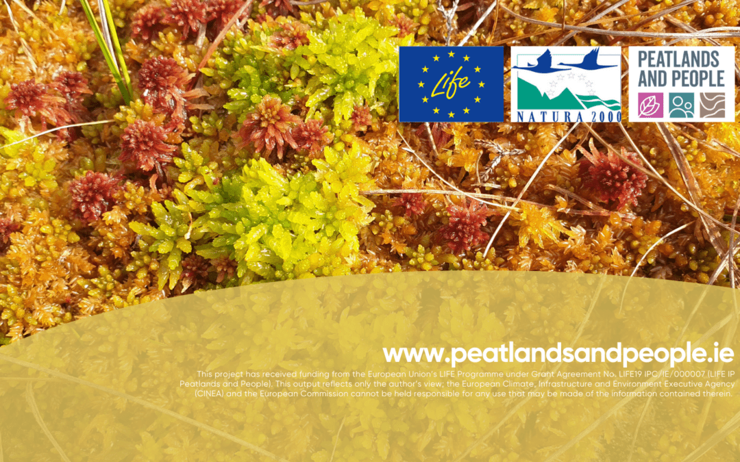 LIFE IP Peatlands and People Project Fourth Year Update