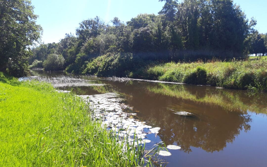 Fresh Focus on Water Quality Helps Waters of LIFE IP