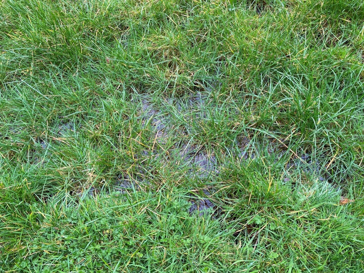 National Liming Programme