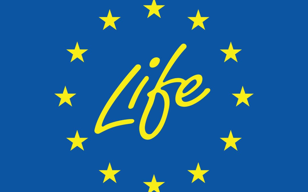 EU LIFE 2024 Calls for Proposals