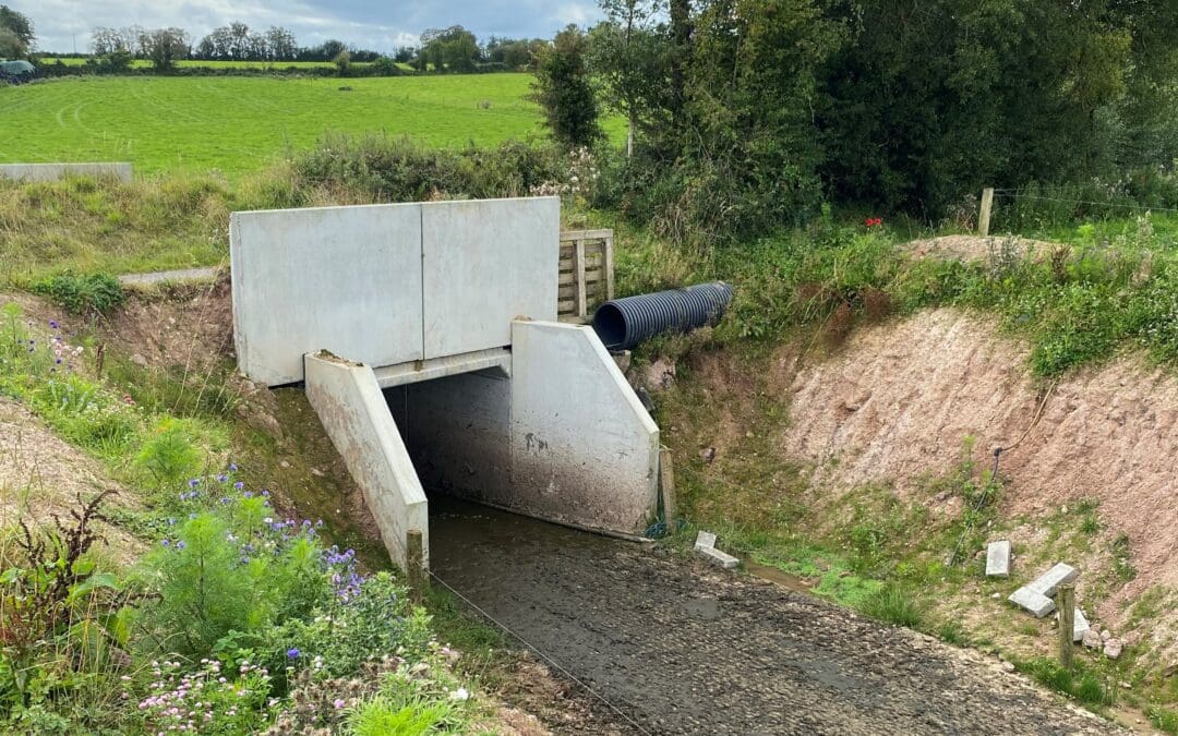 Closing Dates Confirmed for TAMS3 Tranche 4 and 5