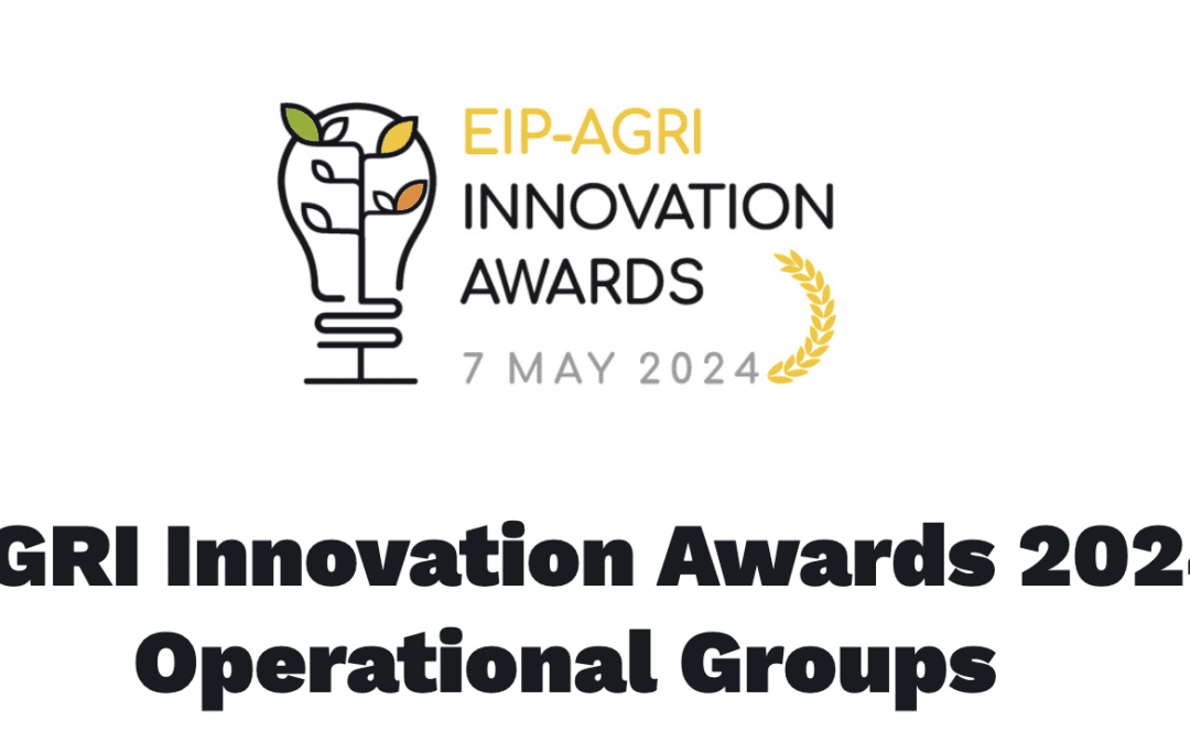 Three Irish Projects Nominated For Prestigious EU Award 