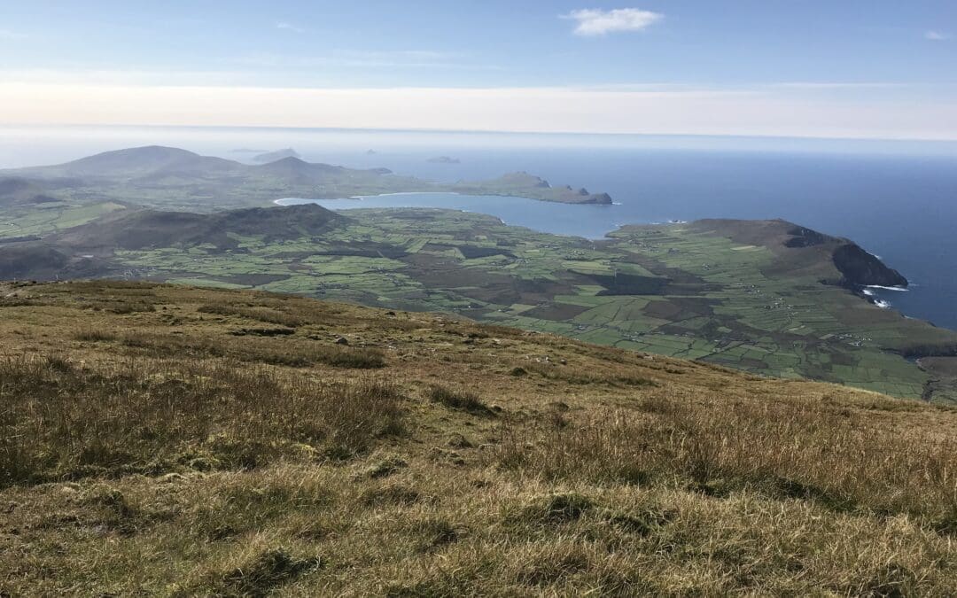 Approval Letters Issued to ACRES Tranche 2 Applicants