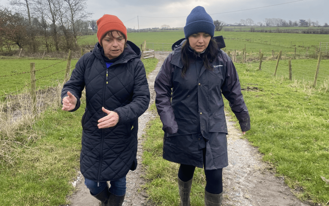 CAP Network Ireland to hold EIP-Agri Calls Information Webinar