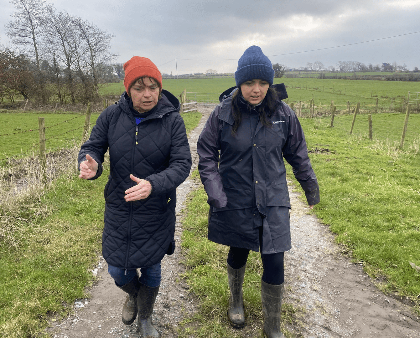 EIP Agri webinar EIP-Agri Calls Information Webinar