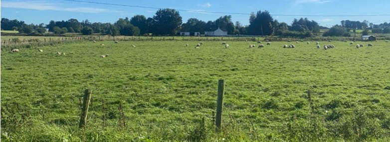 €15 million budget for National Sheep Welfare Scheme Announced