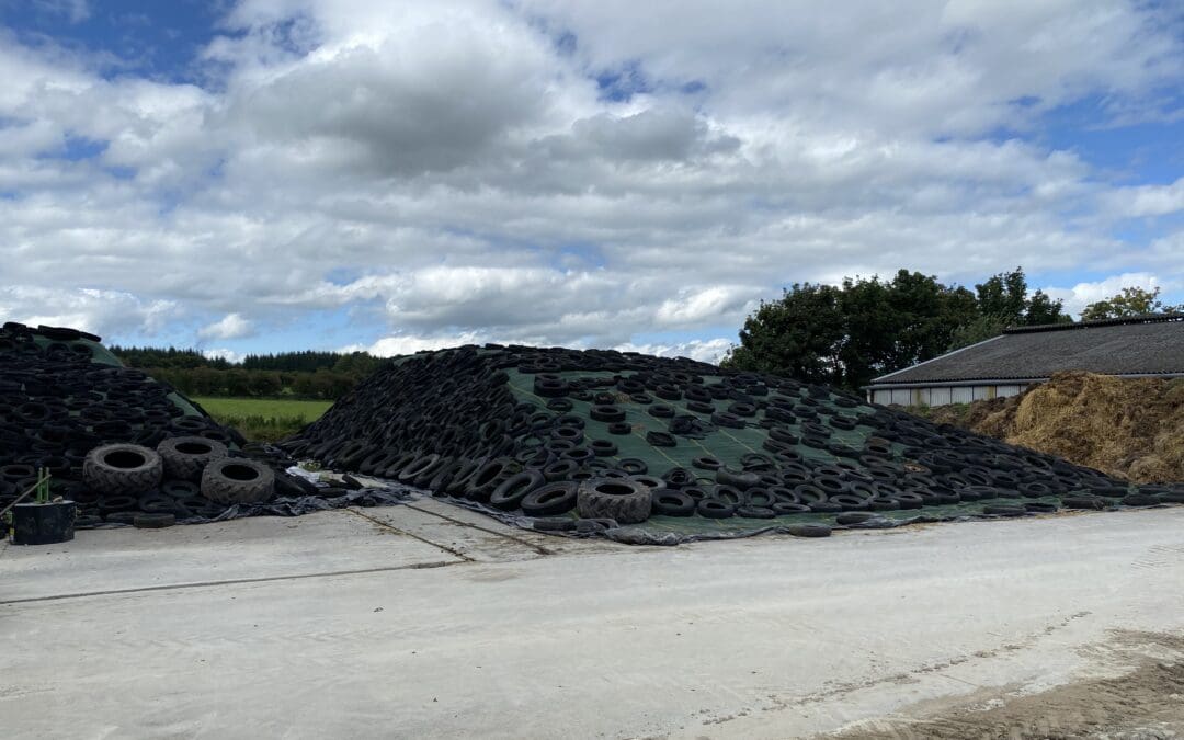 New Fodder Transport Support Measure Announced