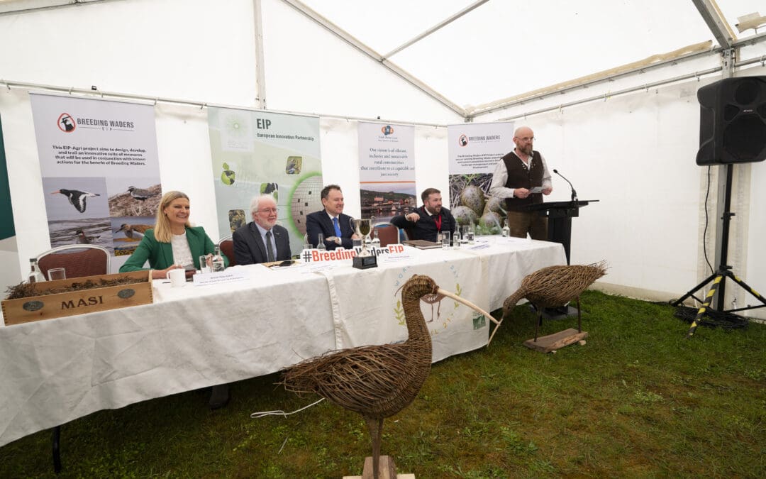 The Breeding Waders EIP Project Officially Launches