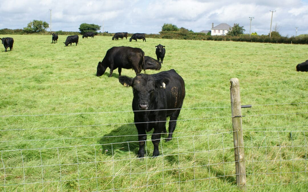 Mandatory Online Training Course for SCEP Participants Launched