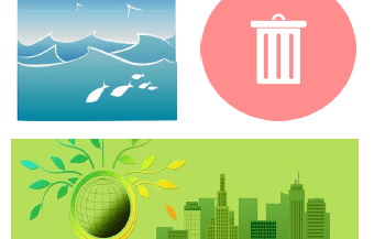 Developing the Bioeconomy in Ireland and the EU